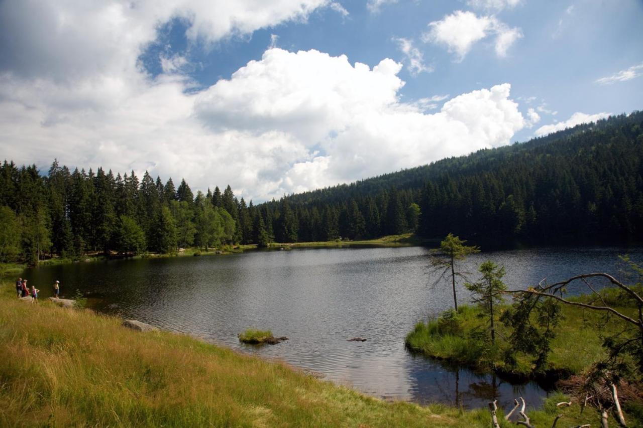 Waldhotel Seebachschleife Bayerisch Eisenstein Buitenkant foto